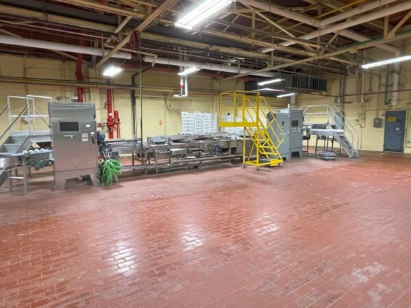 Delta Ilapak Flow Wrapper System - Image 3