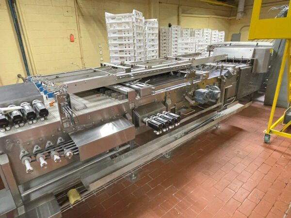 Delta Ilapak Flow Wrapper System - Image 7