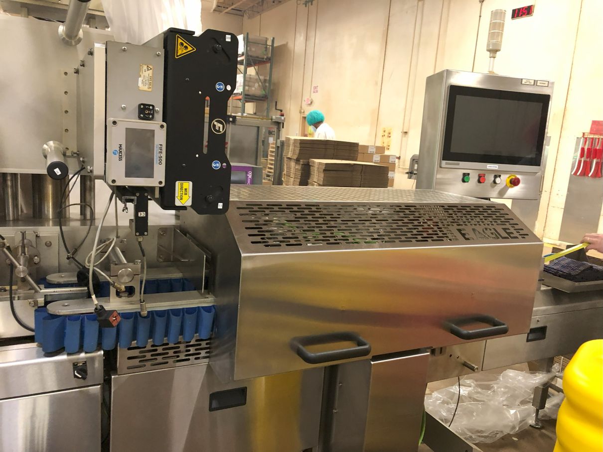 Ilapack Delta Eagle Horizontal Flow Wrapper with Product Stacker